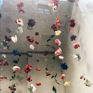 Meet your Posher, Lilia